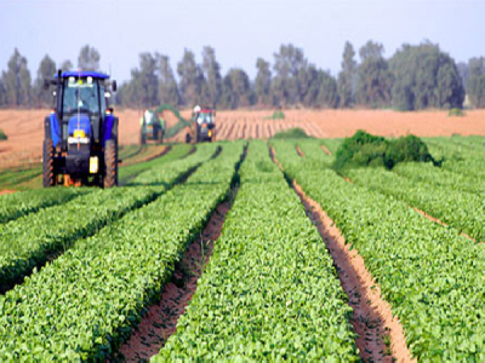 Buletin agrometeoorologic pentru perioada 18-22 mai