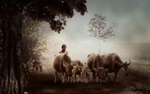 Nasui, Economie: Zero taxe pe salariul minim din agricultura