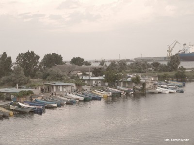 Mangalia - Limanu - Hagieni 2010, câteva zeci de plante identificate