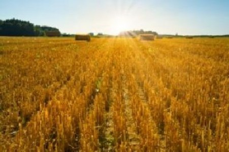 Master-planul din agricultura nu poate fi implementat fara un sprijin fianciar