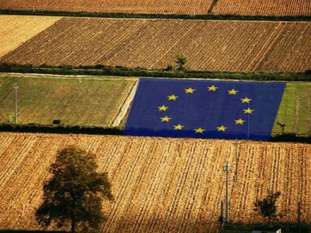 Masuri noi de sprijin pentru sectorul agroalimentar, anuntate de UE