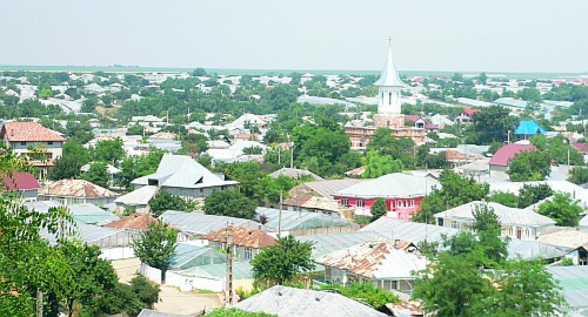Matca, important bazin legumicol