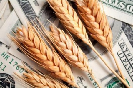 Dacian Ciolos: Romania face parte dintr-un bazin cu potential important de productie de cereale