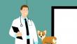 Medicii veterinari si sanatatea publica - lucruri bine de stiut