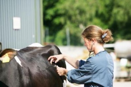 15 mai - ziua Nationala a Medicului Veterinar