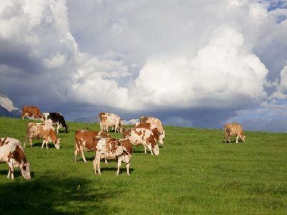 Masuri de mediu si clima, obigatorii pentru producatorii agricoli