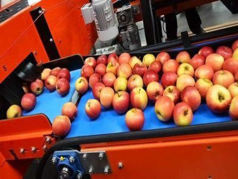 AFIR: Sesiunea de primire a proiectelor pentru procesarea produselor agricole si pomicole finantate prin PNDR 2020 se prelungeste