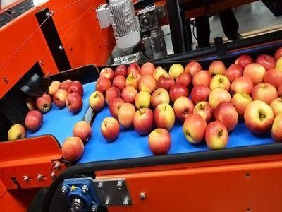 AFIR: Sesiunea de primire a proiectelor pentru procesarea produselor agricole si pomicole finantate prin PNDR 2020 se prelungeste