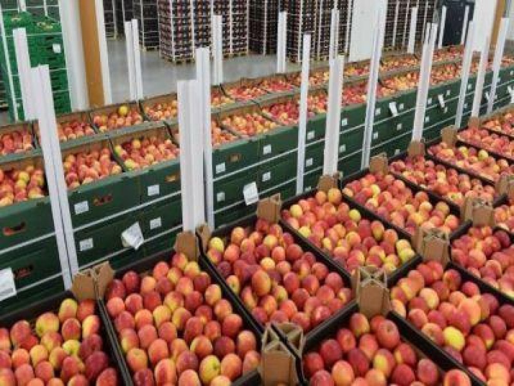 Buletin agrometeorologic pentru perioada 21-27 septembrie