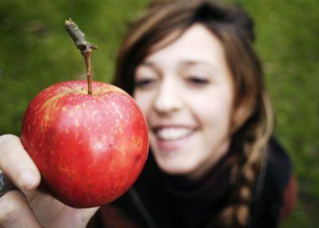 Licitatia pentru merele scolarilor ieseni e aproape de final