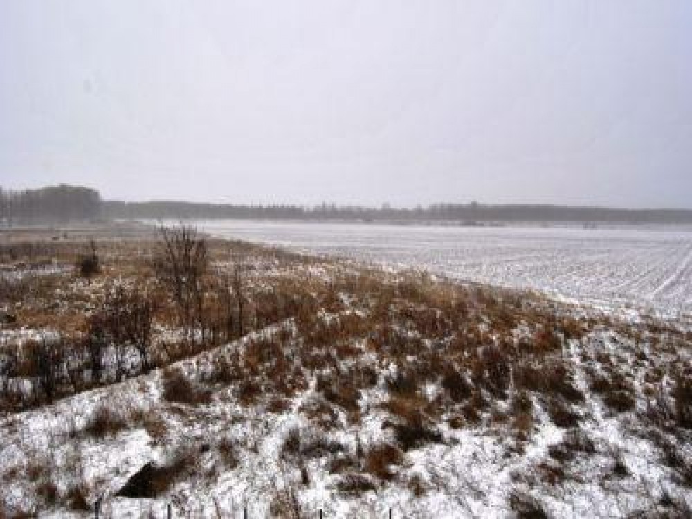 Buletin agrometeorologic pentru perioada 23 februarie - 1 martie