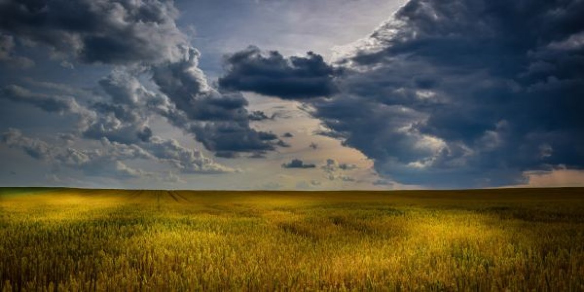 Prognoza agrometeorologica 19 - 25 septembrie. Cantitatile de apa pot fi mai insemnate din punct de vedere agricol