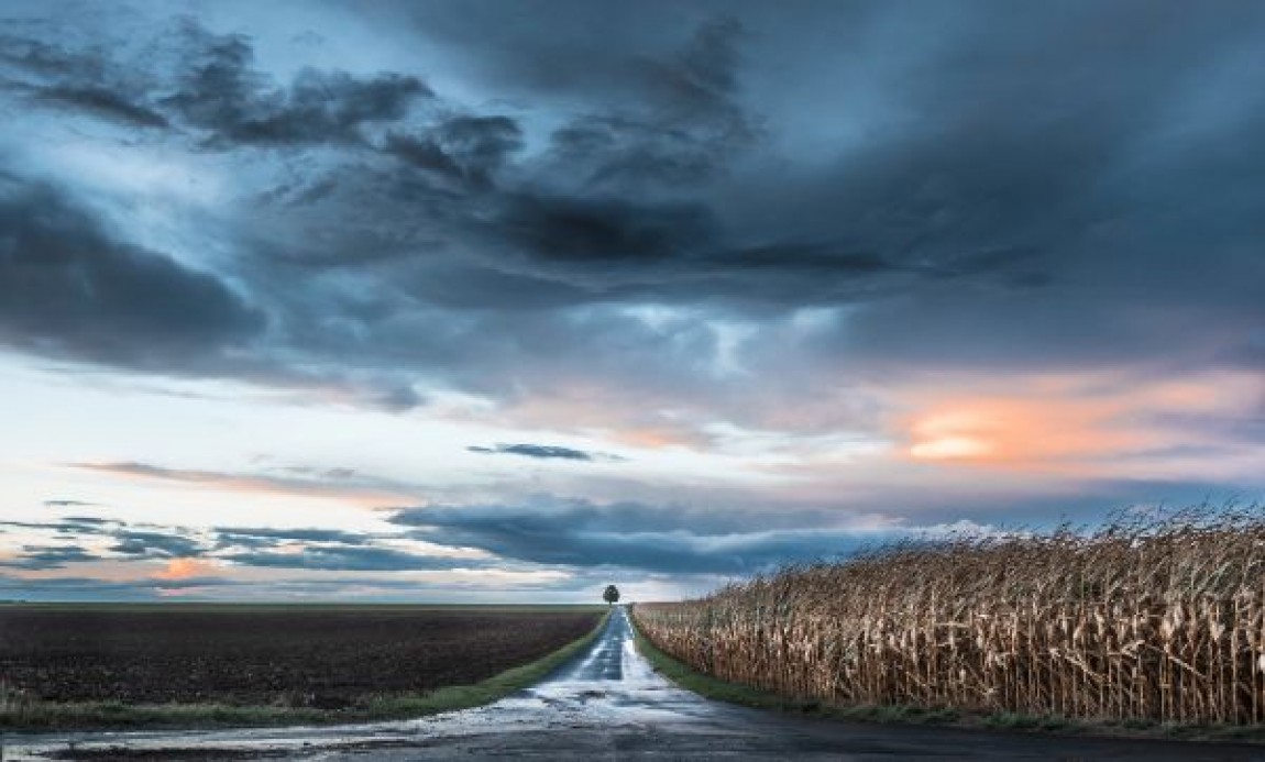 Prognoza agrometeorologica 21 - 27 decembrie. Se intrevad precipitatii sub forma de ploi locale, reduse cantitativ