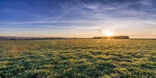 Prognoza agrometeorologica 4 - 10 ianuarie. Sub aspect pluviometric, sunt posibile precipitatii sub forma de ploi locale