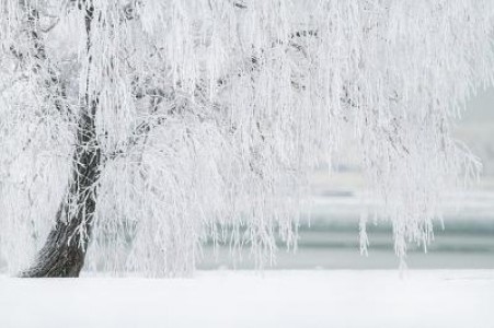 Prognoza agrometeorologica pentru perioada 5-11 decembrie 2020