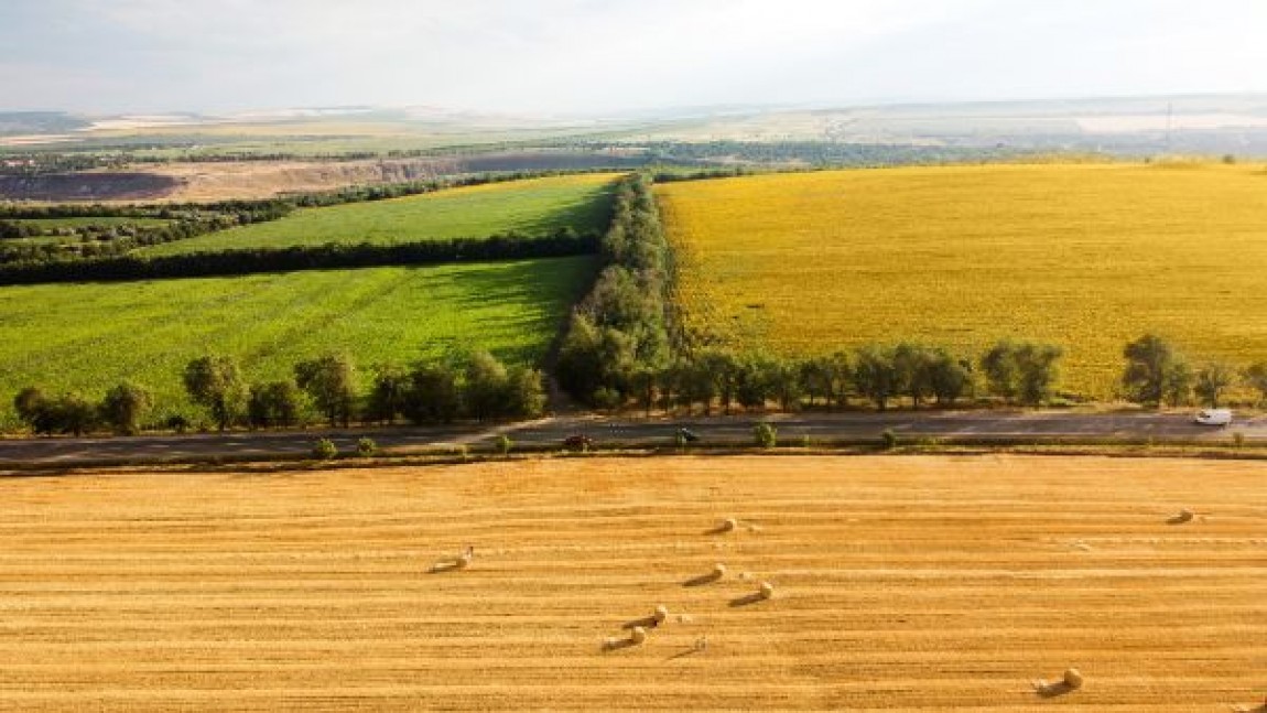 Prognoza agrometeorologica 13 - 19 august 2024. Lucrarile agricole specifice campaniei de vara se vor putea efectua in bune conditii