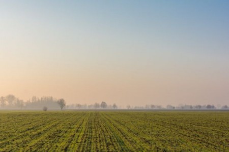 Prognoza agrometeorologica 5 - 11 decembrie 2023. In zonele joase si de lunca vor fi conditii de producere a cetii