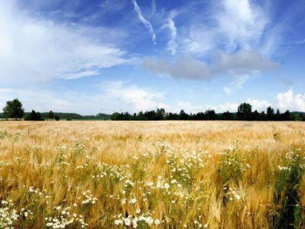 Buletin agrometeorologic pentru perioada 21-27  iunie