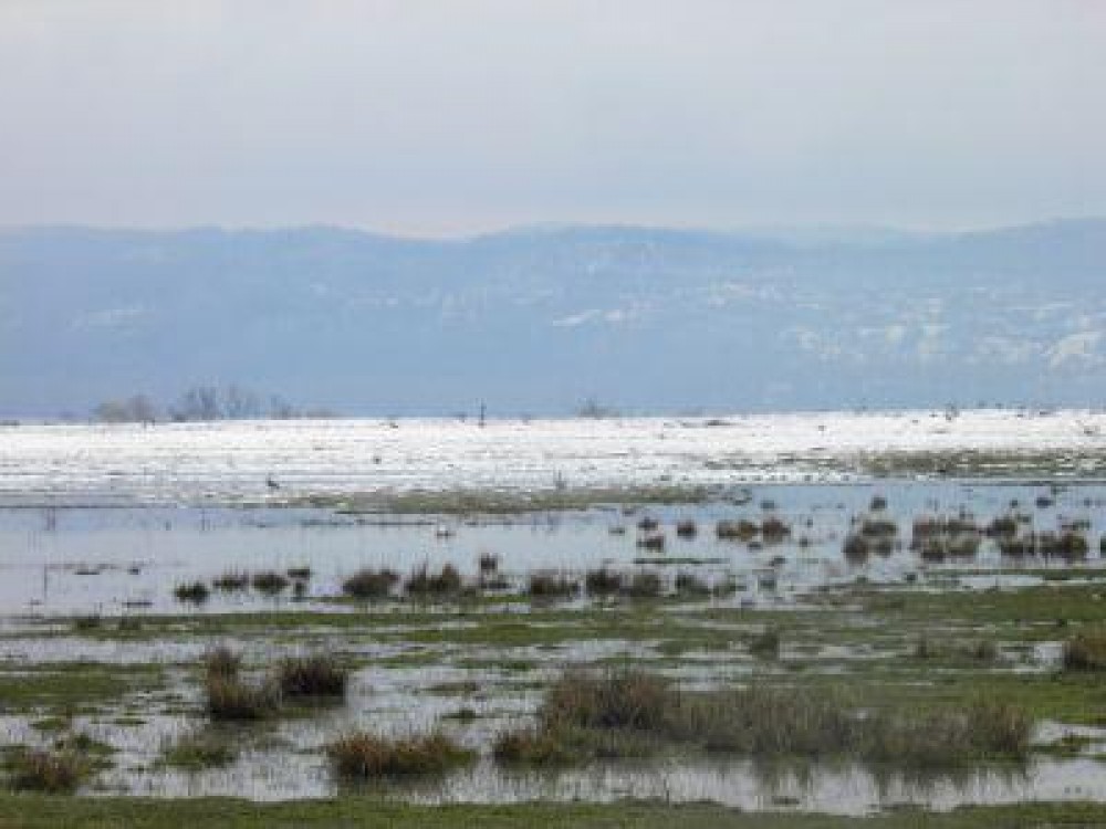Buletin agrometeorologic pentru perioada 17-23  ianuarie