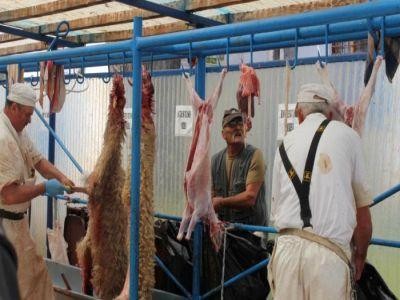 Centru de sacrificare a mieilor deschis in piata Aparatorii Patriei