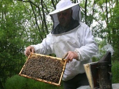 Peste 21.000 de investitii apicole finantate prin masuri PNDR