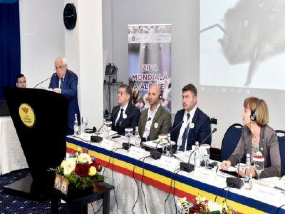 Romania, cel mai important producator de miere din UE