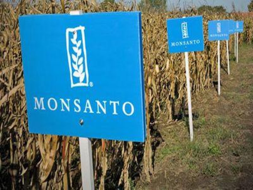 Monsanto Romania are un nou director general