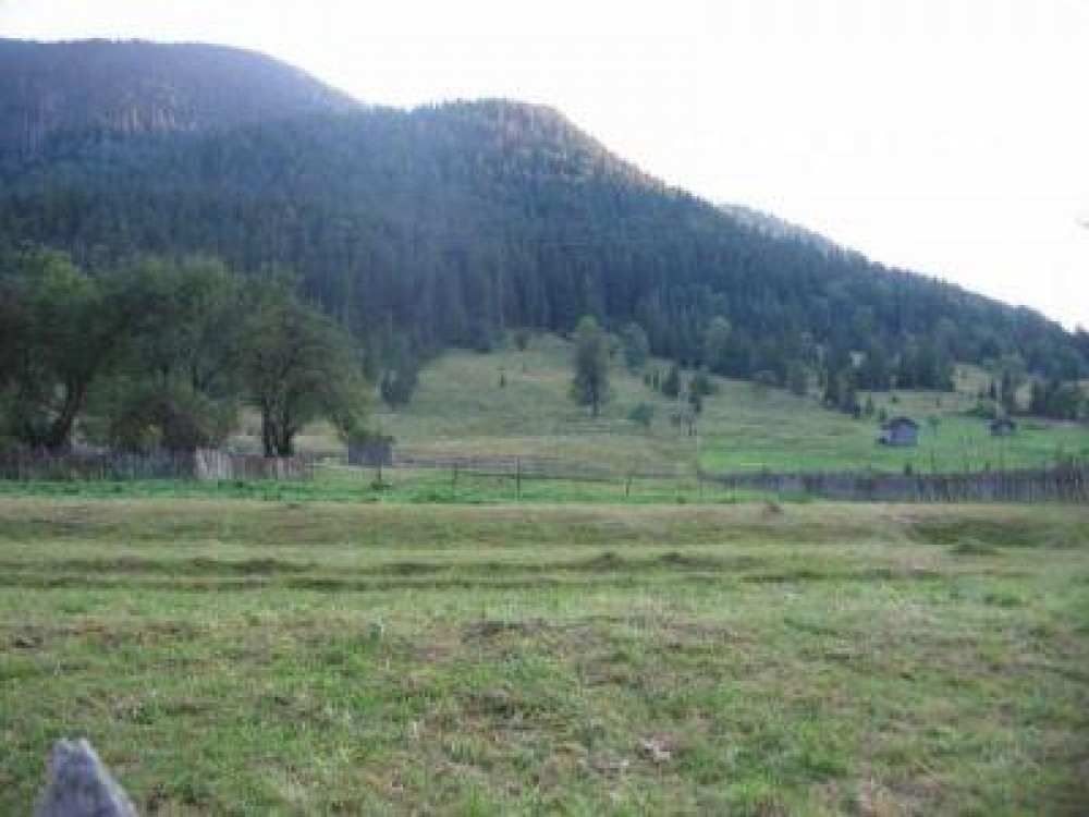 Guvernul a aprobat atributii noi pentru Agentia Zonei Montane
