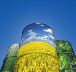 In luna decembrie fermierii pot sa depuna cererile pentru motorina subventionata