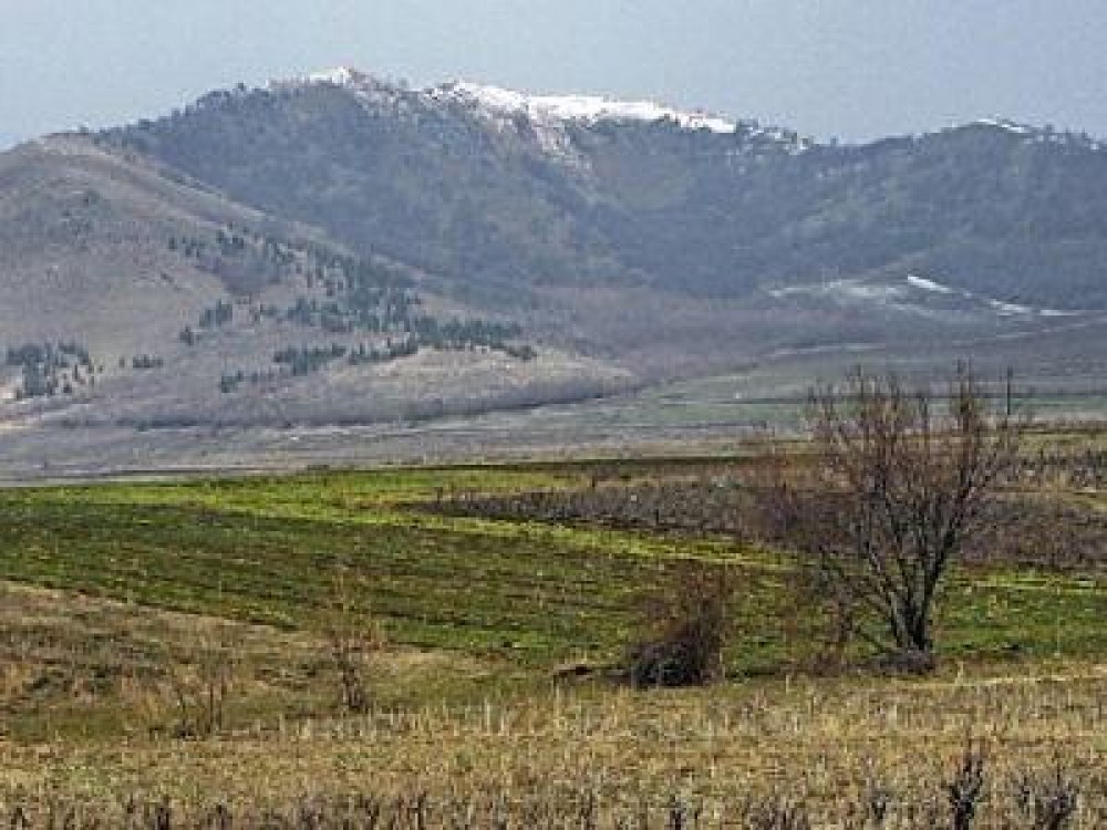 Buletin agrometeorologic pentru perioada 14-20 martie