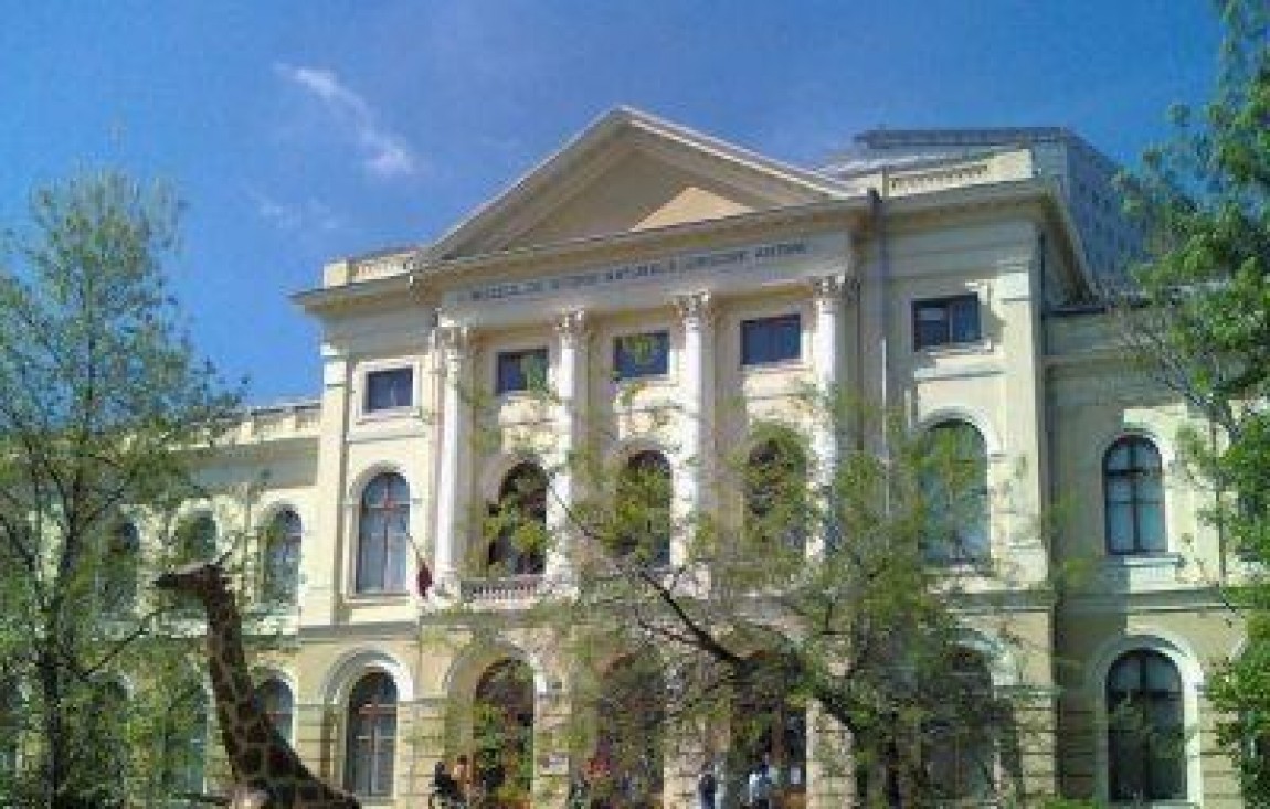 Demonstratii si cursuri de aranjamente florale, la Muzeul Antipa