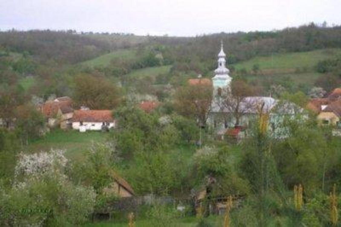 O familie din Arad a fost improprietarita cu aproape 9000 de hectare