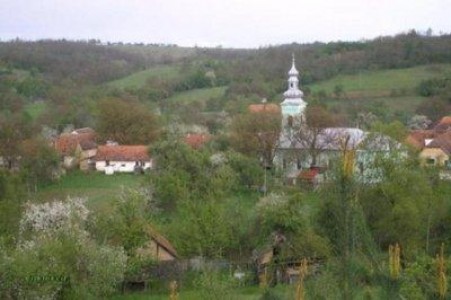 O familie din Arad a fost improprietarita cu aproape 9000 de hectare