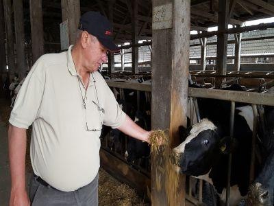 Presedintele asociatiei Holstein RO cere ca DNA sa urmareasca modul in care sunt acordate unele subventii