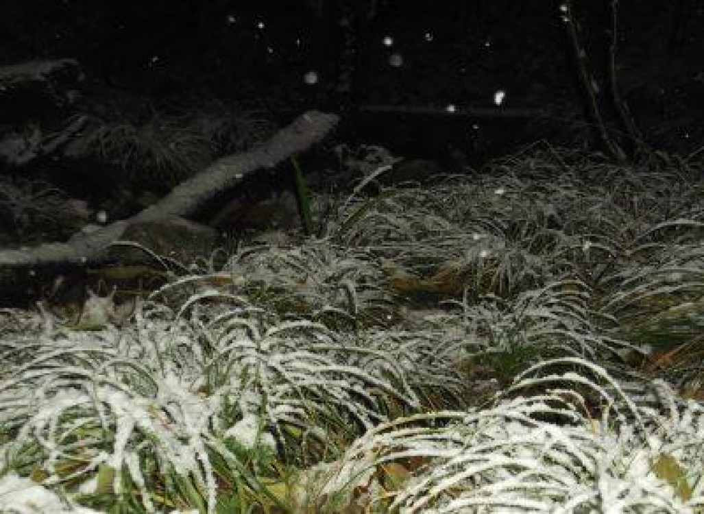 Romania sub cod galben de ninsori. Unde va ninge si cum va fi vremea pana pe 24 decembrie