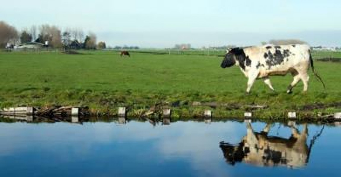 Zeci de mii de spanioli, protest impotriva fermierilor