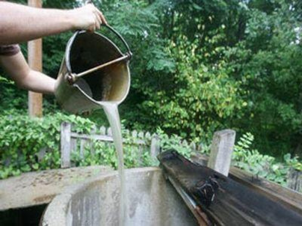 Ministerul Mediului: Agricultura traditionala, principalul factor de poluare cu nutrienti
