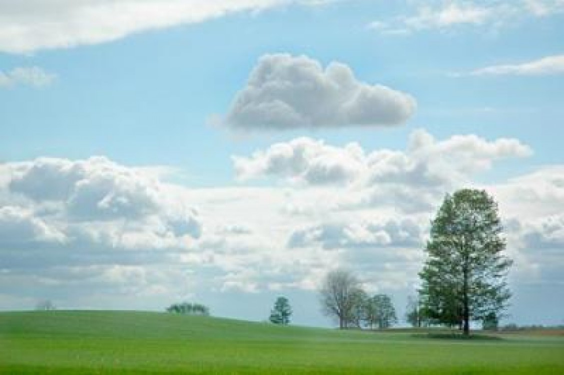 Ce inseamna, de fapt, ploaia artificala si cat de eficienta este in agricultura