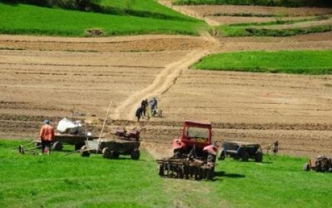 Cum ii afecteaza pe tarani noua modalitate de impozitare