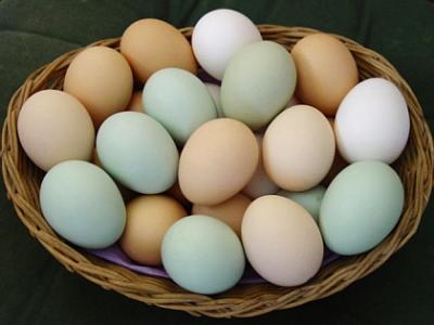cehii-au-blocat-importurile-de-oua-din-polonia-si-critica-fermele-avicole-romanesti