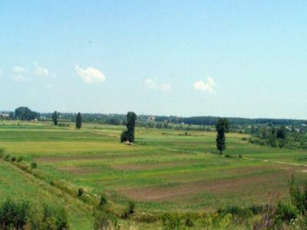 Care sunt normele de ecoconditionalitate ce trebuie respectate pentru accesarea subventiilor
