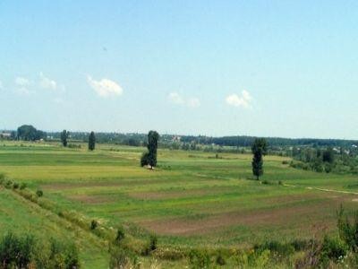 Ce norme de ecoconditionalitate trebuie sa respecte fermierii care primesc subventii