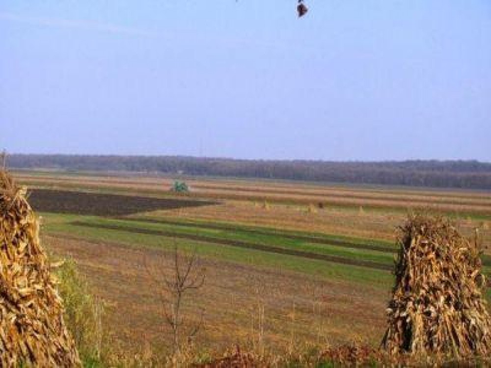 Buletin agrometeorologic pentru perioada 7-13 noiembrie