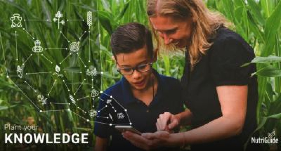 Planificarea fertilizarii culturilor: Cat de eficiente sunt programele digitale?