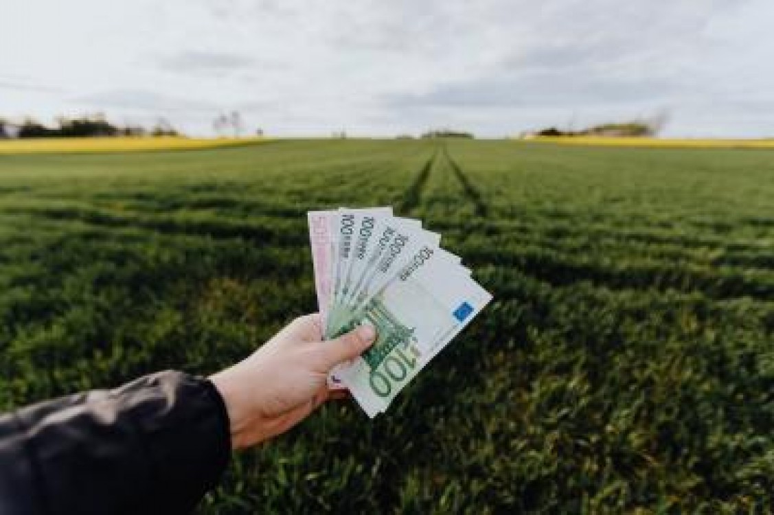 Obtine finantare pentru afacerea ta agricola cu ajutorul unui credit Patria Bank
