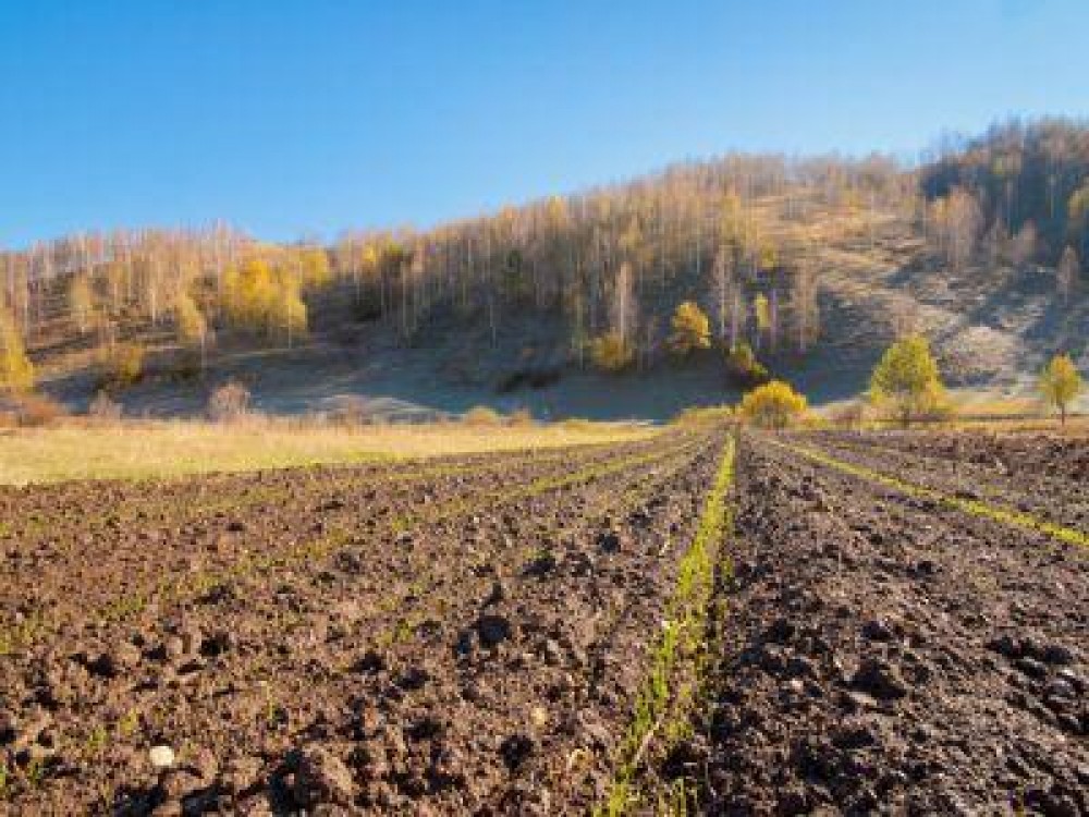 Buletin agrometeorologic pentru perioada 2-8 octombrie