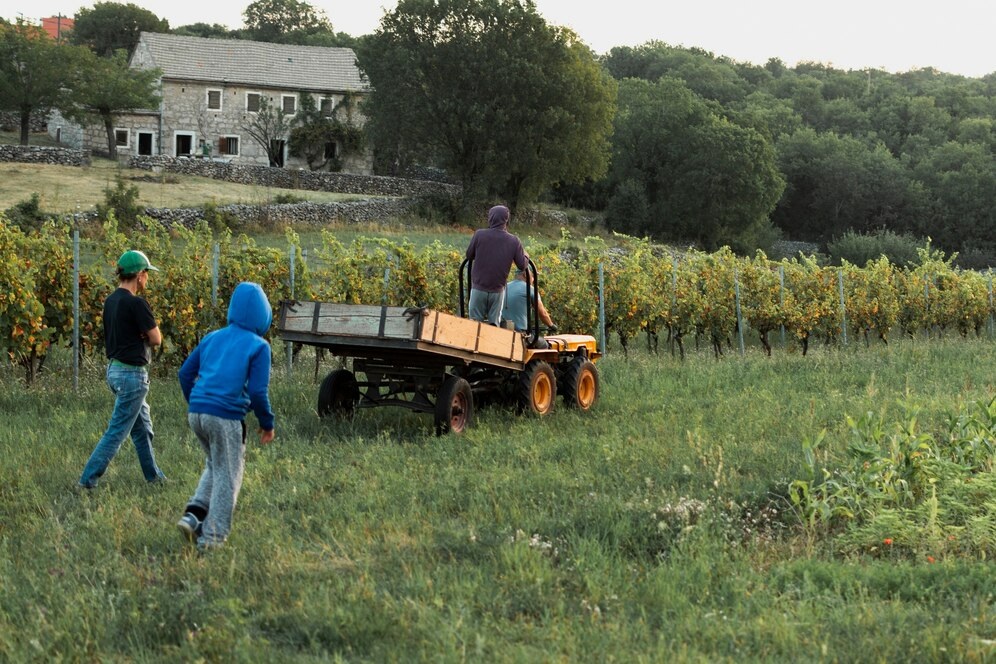 Cum sa iti faci lucrarile de gradina si agricultura mult mai usoare