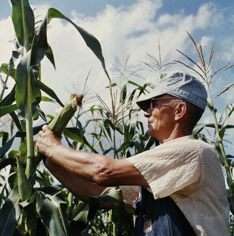 Preocupari pentru instruirea specialistilor in agricultura ecologica