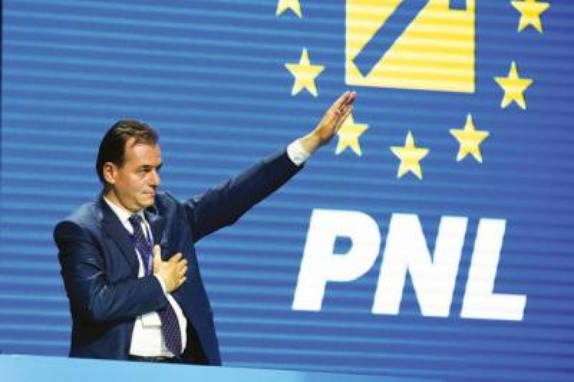 PNL cere comisie parlamentara de ancheta pentru a afla vinovatii din PSD in privinta pestei porcina