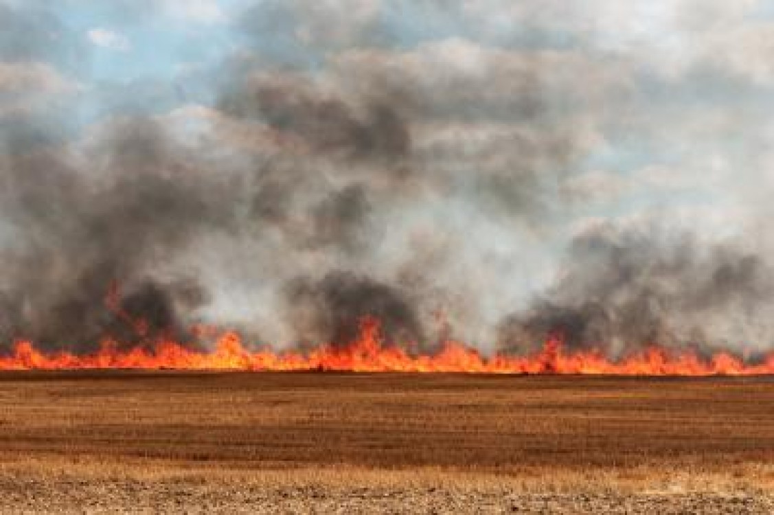 MADR: Ordinul privind stingerea incendiilor agricole, abrogat